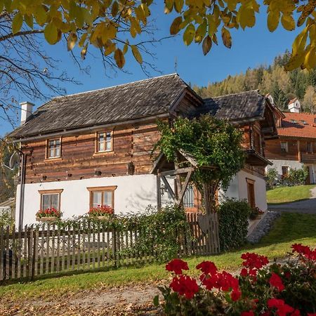 Troadkasten - Ferienhaus Am Bio-Bergbauernhof Aflenz Kurort Dış mekan fotoğraf