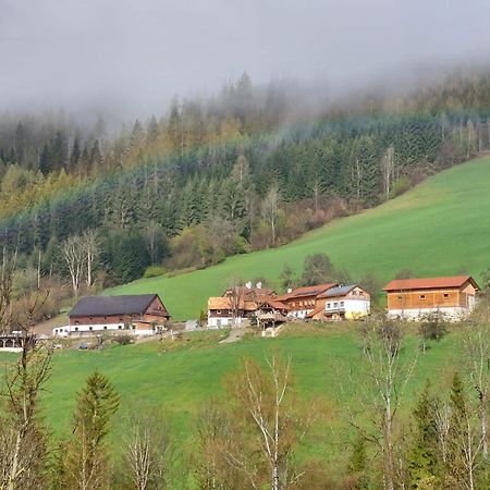 Troadkasten - Ferienhaus Am Bio-Bergbauernhof Aflenz Kurort Dış mekan fotoğraf