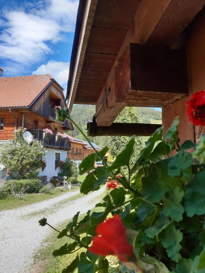 Troadkasten - Ferienhaus Am Bio-Bergbauernhof Aflenz Kurort Dış mekan fotoğraf