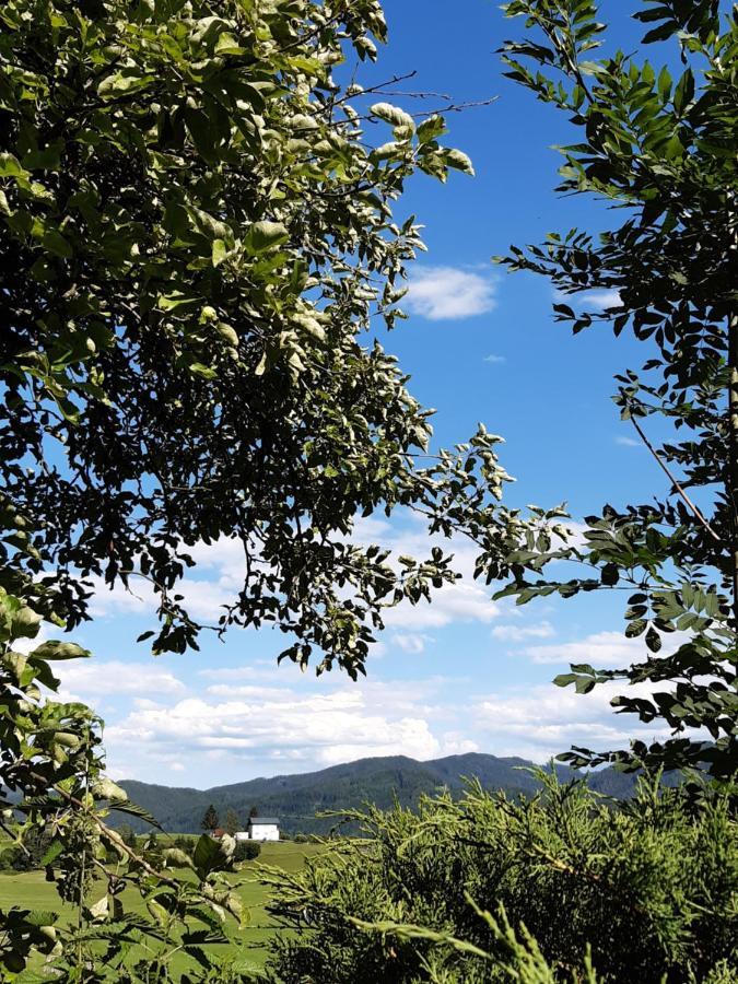 Troadkasten - Ferienhaus Am Bio-Bergbauernhof Aflenz Kurort Dış mekan fotoğraf