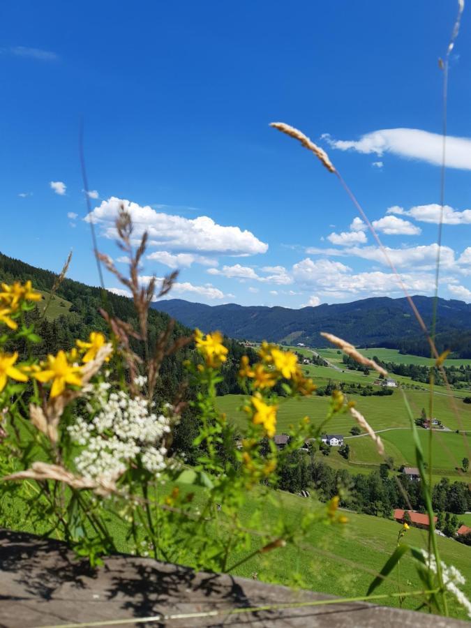 Troadkasten - Ferienhaus Am Bio-Bergbauernhof Aflenz Kurort Dış mekan fotoğraf