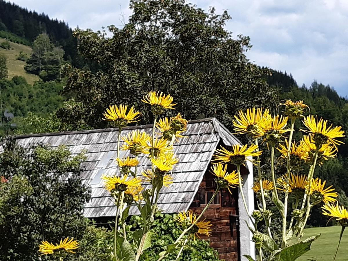 Troadkasten - Ferienhaus Am Bio-Bergbauernhof Aflenz Kurort Dış mekan fotoğraf