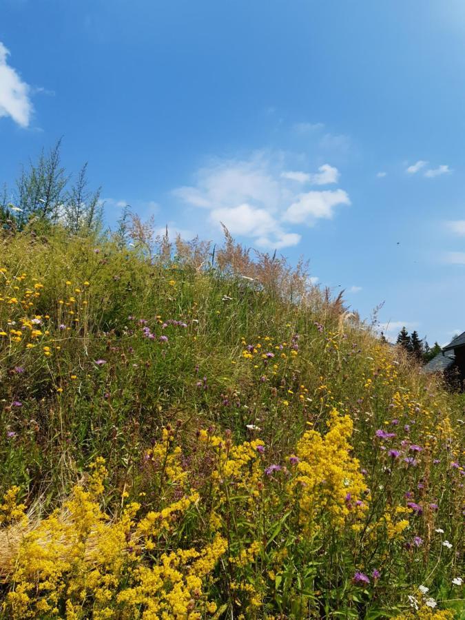 Troadkasten - Ferienhaus Am Bio-Bergbauernhof Aflenz Kurort Dış mekan fotoğraf