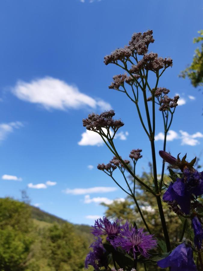Troadkasten - Ferienhaus Am Bio-Bergbauernhof Aflenz Kurort Dış mekan fotoğraf