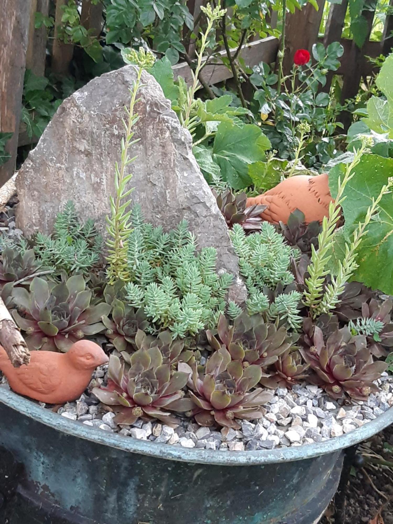 Troadkasten - Ferienhaus Am Bio-Bergbauernhof Aflenz Kurort Dış mekan fotoğraf